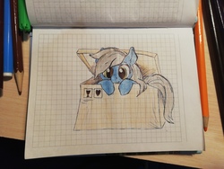 Size: 2560x1920 | Tagged: artist needed, safe, oc, oc only, oc:recky rich, pegasus, pony, box, cute, graph paper, pony in a box, sketch, solo, traditional art