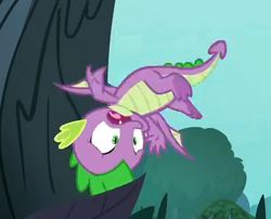 Size: 366x296 | Tagged: safe, screencap, spike, dragon, g4, molt down, claws, cropped, male, solo, upside down, winged spike, wings