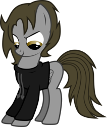 Size: 1126x1329 | Tagged: safe, artist:chipmagnum, oc, oc only, oc:jake, pegasus, pony, g4, clothes, hoodie, male, simple background, solo, stallion, transparent background