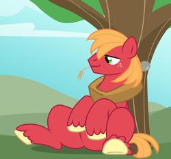 Size: 1696x1580 | Tagged: safe, artist:sidekick, big macintosh, earth pony, pony, g4, freckles, hill, horse collar, male, show accurate, sitting, sky, solo, stallion, straw, straw in mouth, tree