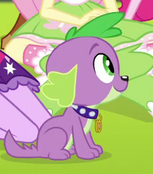 Size: 153x174 | Tagged: safe, screencap, fluttershy, sci-twi, spike, spike the regular dog, twilight sparkle, dog, dance magic, equestria girls, equestria girls specials, g4, male, offscreen character, spike's dog collar, tail