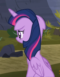 Size: 727x937 | Tagged: safe, screencap, twilight sparkle, alicorn, pony, g4, the hooffields and mccolts, cropped, failure, female, floppy ears, mare, rear view, sad, sitting, solo, sulking, twilight sparkle (alicorn), upset