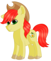 Size: 819x975 | Tagged: safe, artist:rainbowtashie, bright mac, earth pony, pony, g4, male, simple background, solo, transparent background