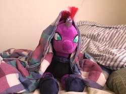 Size: 3264x2448 | Tagged: safe, artist:ejlightning007arts, tempest shadow, pony, g4, bed, blanket, cute, high res, irl, photo, plushie, stuffed, tempestbetes