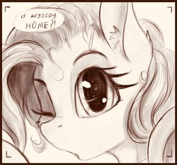 Size: 1347x1258 | Tagged: safe, artist:alcor, oc, oc only, pony, camera, close-up, dialogue, ear fluff, eye reflection, female, mare, monochrome, one eye closed, reflection, sketch, solo