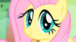 Size: 1280x720 | Tagged: safe, screencap, fluttershy, pony, a bird in the hoof, g4, close-up, cute, face of mercy, female, mare, shyabetes, solo