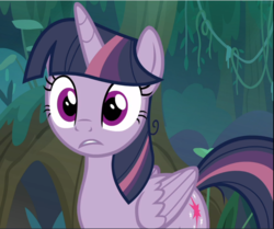 Size: 1126x941 | Tagged: safe, screencap, mean twilight sparkle, twilight sparkle, alicorn, pony, g4, the mean 6, animation error, clone, cropped, female, mare, solo, surprised, twilight sparkle (alicorn), wide eyes