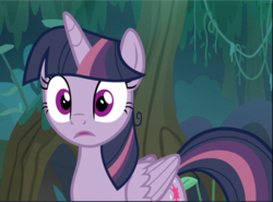 Size: 1275x942 | Tagged: safe, screencap, mean twilight sparkle, twilight sparkle, alicorn, pony, g4, the mean 6, animation error, clone, cropped, female, mare, open mouth, solo, surprised, twilight sparkle (alicorn), wide eyes