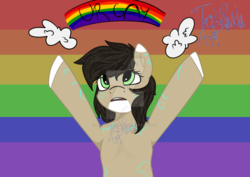 Size: 1024x726 | Tagged: safe, artist:trashpandaarts, oc, oc only, oc:rune, pony, brown mane, female, gay pride flag, green eyes, hooves up, looking up, mare, meme, rainbow, solo, ur gay