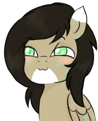 Size: 438x543 | Tagged: artist needed, safe, oc, oc only, oc:rune, pegasus, pony, :3, blushing, brown mane, female, filly, green eyes, low res image, smug, solo
