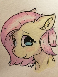 Size: 1920x2560 | Tagged: safe, artist:lightisanasshole, fluttershy, pony, g4, adorkable, blushing, bust, cute, dork, female, mare, painting, portrait, short hair, short mane, shyabetes, smiling, solo, three quarter view, traditional art, watercolor painting