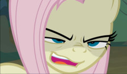 Size: 1606x939 | Tagged: safe, screencap, mean fluttershy, pony, g4, the mean 6, clone, close-up, crazy face, creepy, evil grin, face of mercy, faic, female, grin, smiling, solo