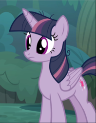 Size: 741x940 | Tagged: safe, screencap, mean twilight sparkle, twilight sparkle, alicorn, pony, g4, the mean 6, clone, cropped, female, solo, twilight sparkle (alicorn)