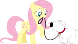 Size: 3569x2040 | Tagged: safe, artist:porygon2z, fluttershy, g4, brian griffin, crossover, family guy, high res, male