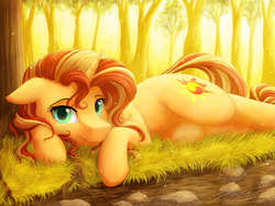 Size: 2828x2121 | Tagged: safe, artist:novaintellus, sunset shimmer, pony, unicorn, g4, cute, female, forest, high res, looking at you, lying down, mare, on side, prone, shimmerbetes, smiling, solo