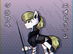 Size: 2150x1600 | Tagged: safe, artist:al1-ce, derpibooru exclusive, oc, oc only, oc:niorequiem, pony, project decadence, abstract background, armor, bag, chromatic aberration, cyberpunk, katakana, solo, spear, translated in the description, weapon