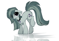 Size: 1343x936 | Tagged: dead source, safe, artist:php146, marble pie, earth pony, pony, g4, butt fluff, chest fluff, collar, cute, dog tags, eye clipping through hair, female, floppy ears, looking at you, mare, raised leg, reflection, simple background, solo, white background