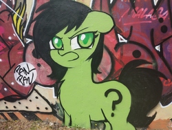 Size: 4000x3000 | Tagged: safe, artist:killasher, oc, oc:filly anon, earth pony, pony, angry, cute, female, filly, fluffy, graffiti, irl, looking at you, photo, solo
