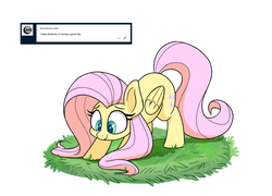 Size: 1280x922 | Tagged: safe, artist:heir-of-rick, fluttershy, cricket (insect), insect, pegasus, pony, g4, ask, cute, face down ass up, female, folded wings, grass, looking at something, looking down, mare, shyabetes, smiling, solo, three quarter view, tumblr, wings