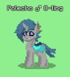 Size: 324x358 | Tagged: safe, oc, oc only, oc:polecho, changeling, pony town, changeling oc