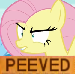 Size: 456x452 | Tagged: safe, edit, edited screencap, screencap, fluttershy, pegasus, pony, flutter brutter, g4, angry, cropped, female, lip bite, mare, meme, peeved, solo, triggered