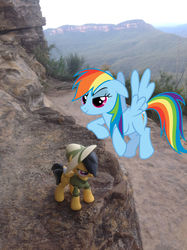 Size: 1280x1714 | Tagged: safe, artist:didgereethebrony, daring do, rainbow dash, pony, g4, australia, blue mountains, cliff, cutie mark, faic, fangirl, figurine, irl, katoomba, merchandise, mlp in australia, photo, ponies in real life, pose, smug, smugdash, toy, valley