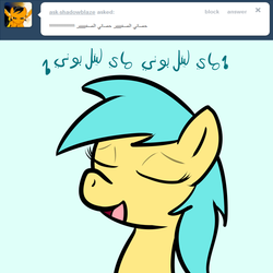 Size: 750x750 | Tagged: safe, artist:datahmedz, sunshower raindrops, pony, raindropsanswers, g4, arabic, ask, female, solo, tumblr