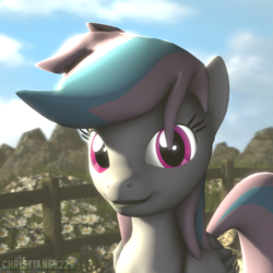 Size: 1000x1000 | Tagged: safe, artist:christian69229, oc, oc only, oc:starburn, pegasus, pony, 3d, bust, female, looking at you, mare, portrait, solo, source filmmaker