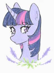 Size: 1434x1912 | Tagged: safe, artist:abbykaskaya, twilight sparkle, pony, g4, bust, cute, female, lavender, portrait, simple background, solo, twiabetes, white background