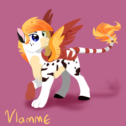 Size: 1000x1000 | Tagged: safe, artist:angexci, oc, oc only, oc:vlamme, pony, reference sheet, solo