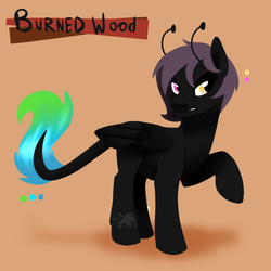 Size: 1000x1000 | Tagged: safe, artist:angexci, oc, oc only, oc:burned wood, pony, reference sheet, solo