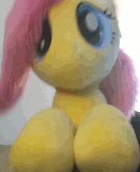 Size: 286x350 | Tagged: safe, artist:joltage, fluttershy, pegasus, pony, g4, animated, bouncing, dancing, female, gif, headbob, irl, mare, party hard, photo, plushie, solo