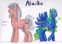 Size: 1155x810 | Tagged: safe, artist:pristine1281, part of a set, oc, oc:aurora sky, oc:northern forntier, earth pony, pegasus, pony, alaska, female, male, mare, part of a series, stallion, traditional art