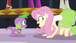 Size: 1920x1080 | Tagged: safe, screencap, fluttershy, spike, dog, equestria girls, g4, my little pony equestria girls, all fours, breasts, spike the dog, spike's dog collar