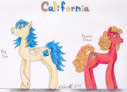 Size: 1130x824 | Tagged: safe, artist:pristine1281, part of a set, oc, oc only, oc:big sur, oc:eureka dreams, earth pony, pegasus, pony, california, female, male, mare, part of a series, stallion, traditional art