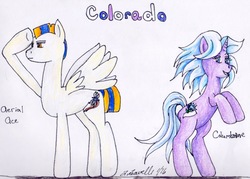 Size: 1138x816 | Tagged: safe, artist:pristine1281, part of a set, oc, oc only, oc:aerial ace, oc:columbine, pegasus, pony, unicorn, colorado, female, male, mare, part of a series, stallion, traditional art