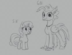 Size: 2100x1600 | Tagged: safe, artist:cosmonaut, sweetie belle, terramar, classical hippogriff, hippogriff, pony, unicorn, g4, 5'11" vs 6'0", blush sticker, blushing, female, filly, gray background, grayscale, male, monochrome, quadrupedal, simple background, size comparison, size difference
