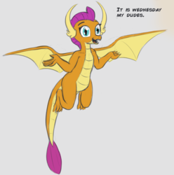 Size: 732x737 | Tagged: safe, artist:cosmonaut, smolder, dragon, g4, dragoness, female, flying, gray background, it is wednesday my dudes, meme, simple background, solo, wednesday