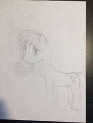 Size: 3264x2448 | Tagged: safe, artist:sciencesean, fluttershy, pony, g4, cute, female, high res, looking back, pencil drawing, photo, sketch, solo, traditional art, wingless