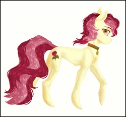 Size: 1600x1487 | Tagged: safe, artist:steller, roseluck, earth pony, pony, g4, chest fluff, collar, commissioner:doom9454, concave belly, cute, digital art, female, fluffy, hoof fluff, mare, pet tag, pony pet, rosepet, solo