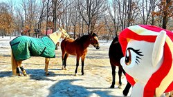 Size: 2048x1152 | Tagged: safe, artist:hihin1993, oc, oc only, oc:poniko, horse, pony, horse-pony interaction, irl, irl horse, japan, photo, plushie, solo, translation request