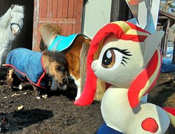 Size: 1472x1133 | Tagged: safe, artist:hihin1993, oc, oc only, oc:poniko, pony, shetland pony, g4, horse-pony interaction, irl, irl horse, irl pony, japan, photo, plushie, solo