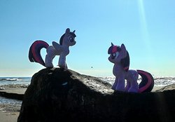 Size: 1761x1226 | Tagged: safe, artist:hihin1993, twilight sparkle, alicorn, pony, g4, beach, irl, japan, ocean, photo, plushie, rock, self ponidox, solo, twilight sparkle (alicorn)