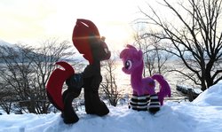 Size: 2048x1217 | Tagged: safe, artist:hihin1993, berry punch, berryshine, tempest shadow, earth pony, pony, g4, clothes, crepuscular rays, irl, japan, photo, plushie, snow, socks, striped socks