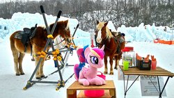 Size: 2048x1152 | Tagged: safe, artist:hihin1993, princess cadance, horse, pony, g4, horse-pony interaction, irl, irl horse, japan, photo, plushie, snow, solo, teen princess cadance