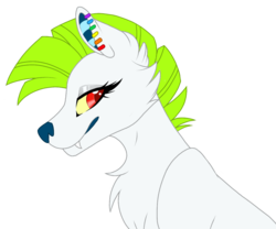 Size: 1200x1000 | Tagged: safe, artist:melodytheartpony, oc, oc:echo, wolf, cute, fangs, female, fluffy, looking at you, piercing, solo, species swap