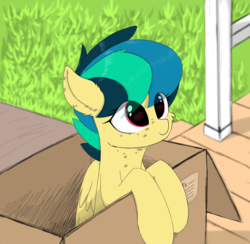 Size: 3500x3414 | Tagged: safe, artist:d.w.h.cn, oc, oc only, oc:apogee, pegasus, pony, box, cheek fluff, cute, diageetes, ear fluff, eye clipping through hair, female, filly, freckles, gift from god, high res, ocbetes, pony in a box, smiling, solo, transparent mane