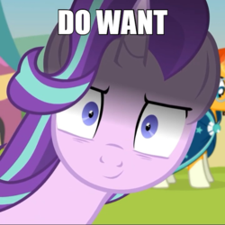 Size: 600x599 | Tagged: safe, artist:agrol, edit, edited edit, starlight glimmer, sunburst, pony, time for two, >:), caption, close-up, death stare, extreme close-up, female, glarelight glimmer, horn, image macro, impact font, inconvenient starlight, inverted mouth, looking at you, male, mare, meme, reaction image, shipping, shrunken pupils, smiling, smirk, snaplight glimmer, stallion, starburst, stare, straight, text, varying degrees of want, want, yandere, yandere glimmer