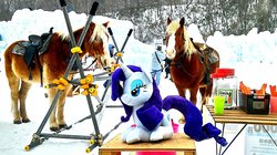 Size: 2189x1227 | Tagged: safe, artist:hihin1993, rarity, horse, pony, g4, horse-pony interaction, irl, irl horse, japan, photo, plushie, snow