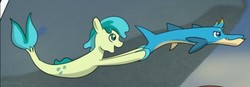 Size: 567x197 | Tagged: safe, artist:chedx, gallus, sandbar, barracuda, earth pony, fish, seapony (g4), comic:the weekend wager, g4, commission, cropped, cutie mark, dorsal fin, fin, fins, fish tail, flowing mane, flowing tail, gallus the barracuda, male, ocean, open mouth, open smile, scales, seaponified, seapony sandbar, seaquestria, smiling, species swap, swimming, tail, tail fin, underwater, water